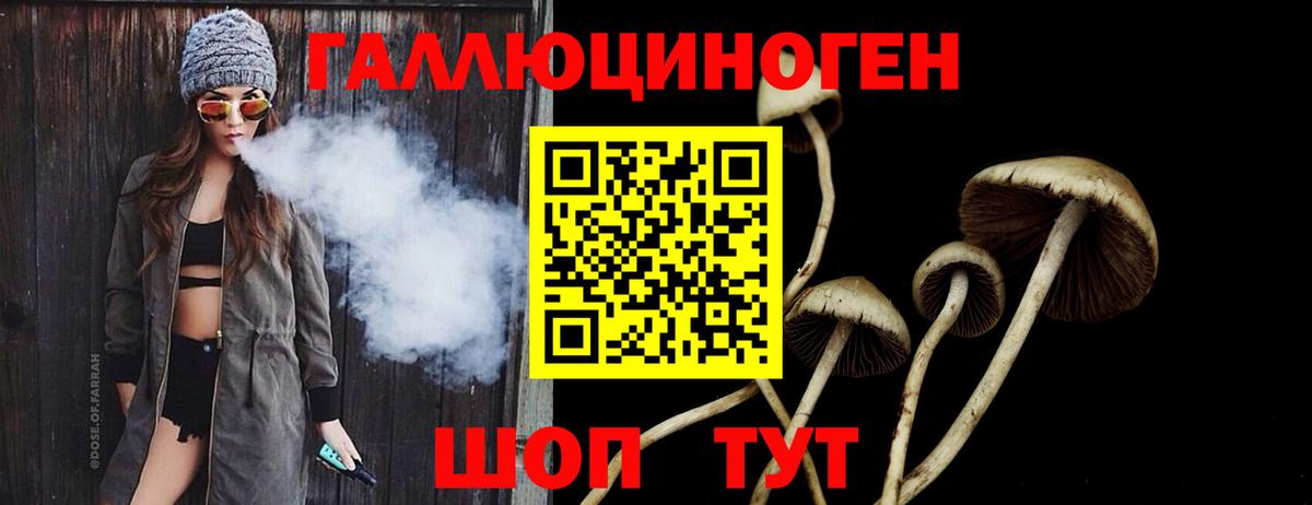 Галлюциногенные грибы Cubensis  Вход с VPN  Орехово-Зуево 